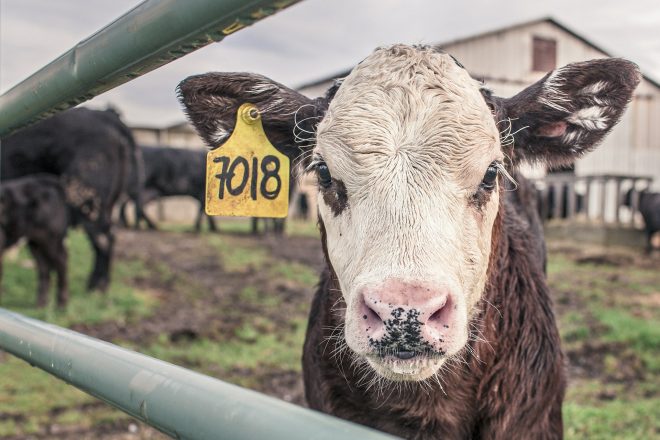 agricultural-giants-the-biggest-farm-in-the-world-discovery-uk