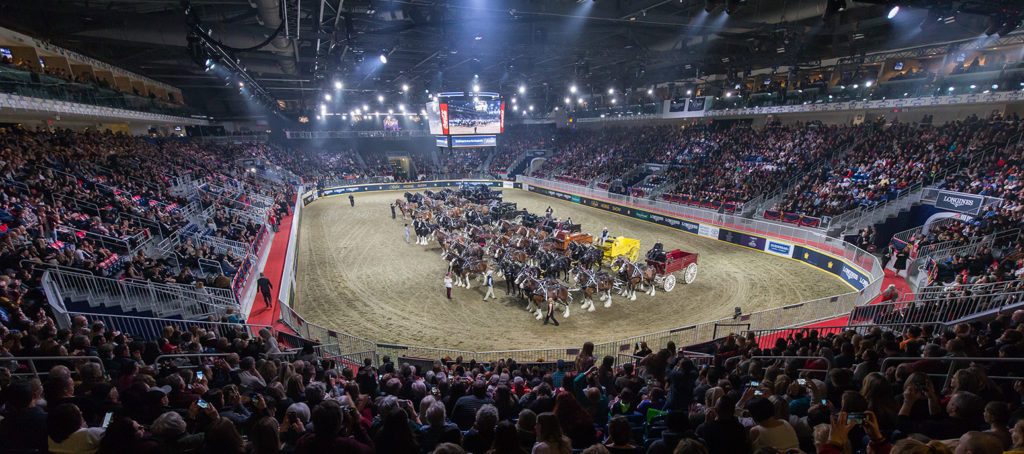 The Royal Agricultural Fair 2018