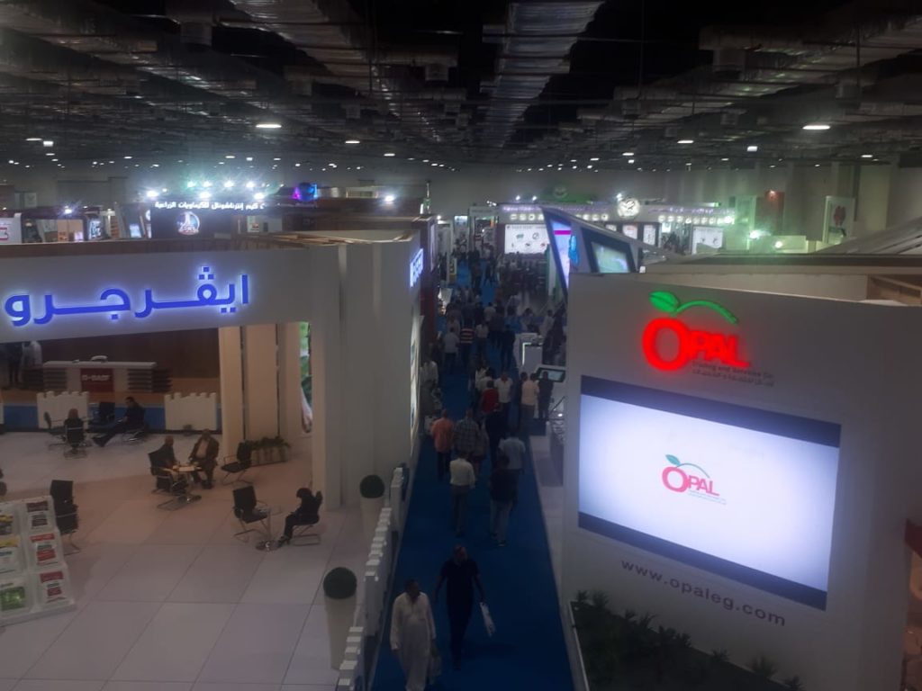 Sahara Expo 2018