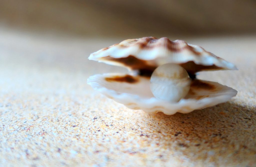 cultured pearl