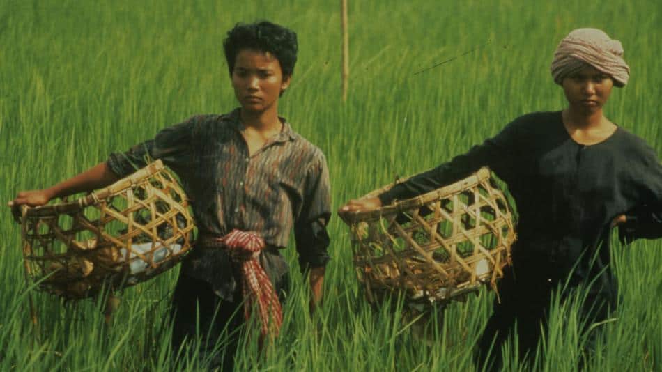 Rice people movie