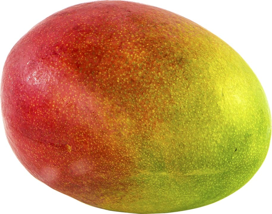 Haden mango